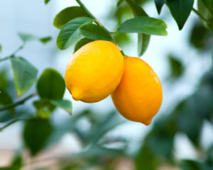 Lemons