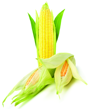 Corn Stack