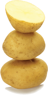 Crop Potato
