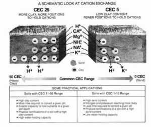 Soil Types